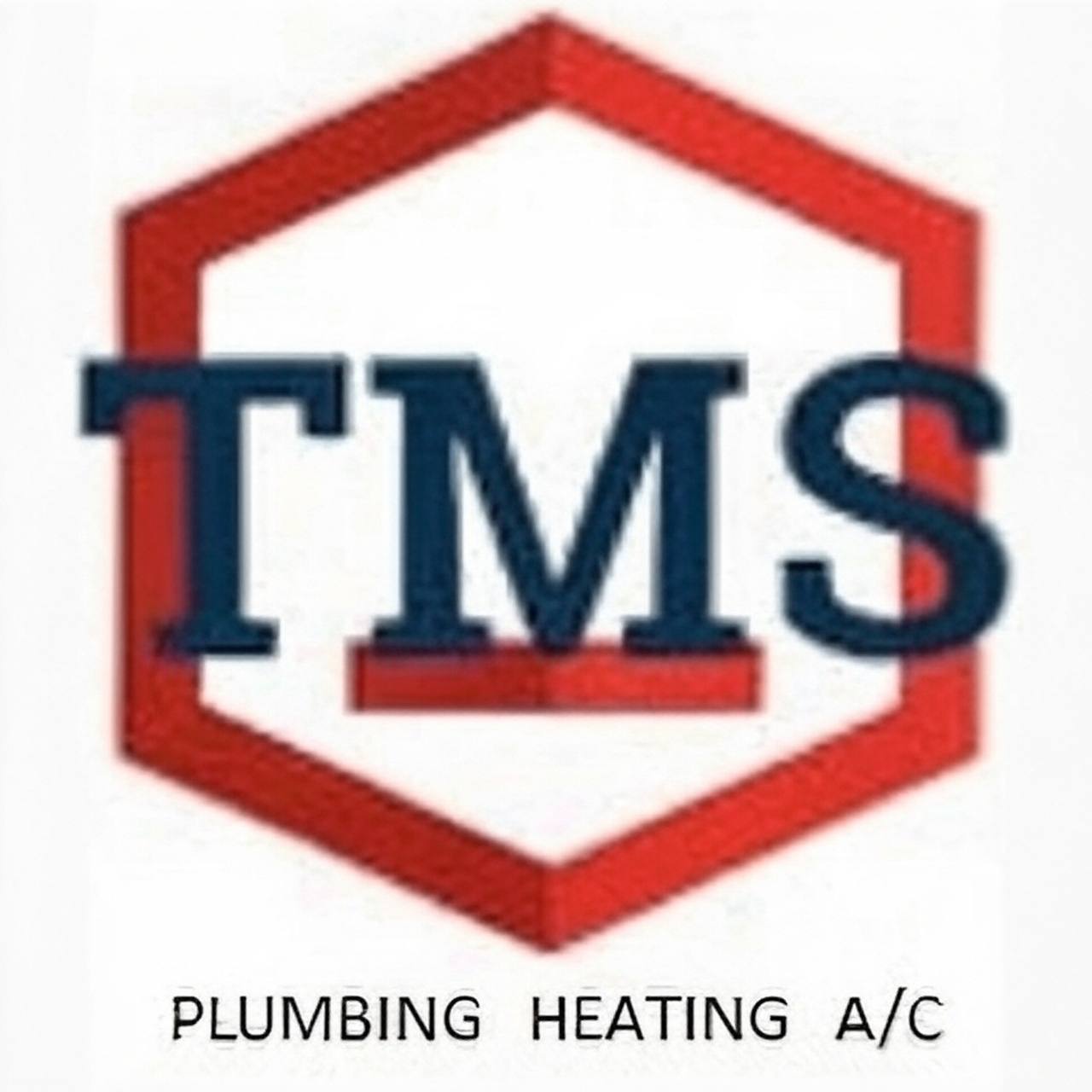 TMS Logo